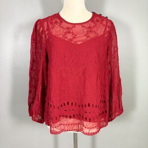 J Crew Blouse S Embroidered Balloon Sleeve Peasant Fairy Dark Boho Sheer Cottage